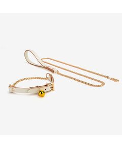 Ошейник с поводком 