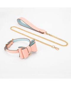 Ошейник с поводком 