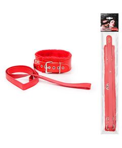 Ошейник с поводком 