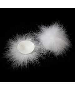 Белые пушистые пэстисы 