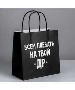 Пакет подарочный «Всем плевать на твой др», 22 × 22 × 11 см 