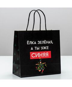 Пакет подарочный «А ты уже синяя», 22 × 22 × 11 см 