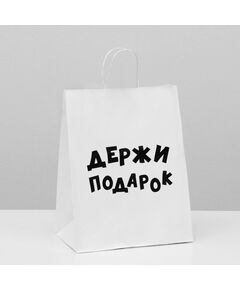 Пакет подарочный с приколами, крафт «Держи подарок», белый, 24 х 10,5 х 32 см 