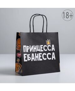 Пакет подарочный «Принцесса», 22 х 22 х 11 см 