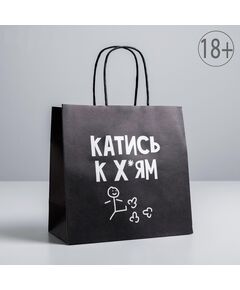 Пакет подарочный «Катись», 22 х 22 х 11 см 