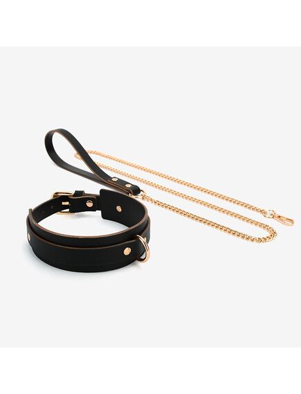 Ошейник с поводком 