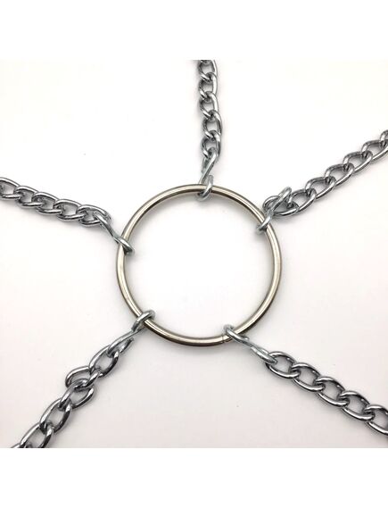 Фиксация «Узник любви-I» , изображение 5