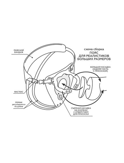 Фаллоимитатор Гигант с поясом , изображение 7