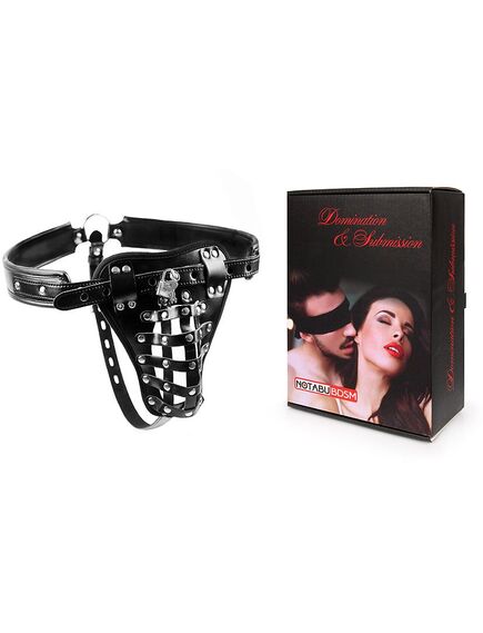 Трусики на замке , изображение 2