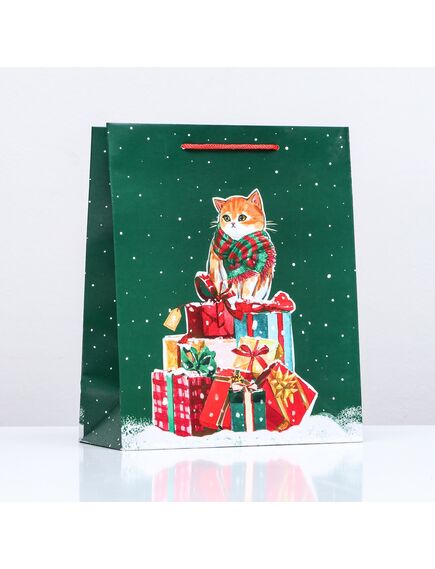 Пакет подарочный "Салют ", 26 х 32 х 12 см 