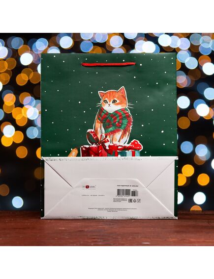 Пакет подарочный "Салют ", 26 х 32 х 12 см , изображение 3