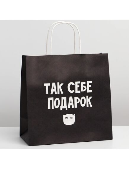 Пакет подарочный «Так себе, а не подарок», 22 × 22 × 11 см 