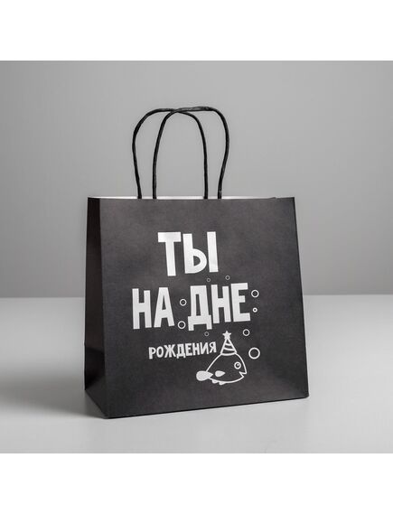 Пакет подарочный «На дне», 22 х 22 х 11 см 