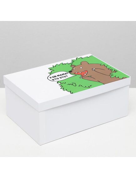 Подарочная коробка с приколами "Кто это?", 30,5 х 20 х 13 см , изображение 3