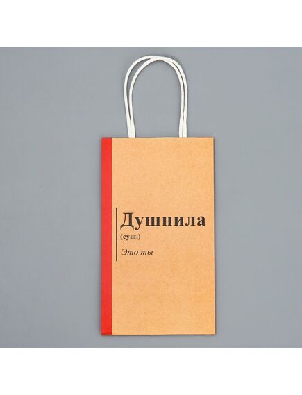 Пакет подарочный крафтовый «Душнила», 12 × 21 × 9 см , изображение 4