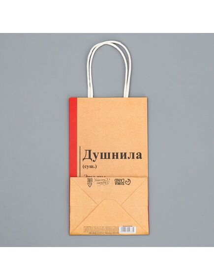 Пакет подарочный крафтовый «Душнила», 12 × 21 × 9 см , изображение 5