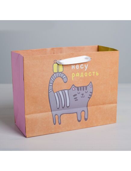 Пакет крафтовый горизонтальный «Несу радость», MS 18 × 23 × 10 см , изображение 2