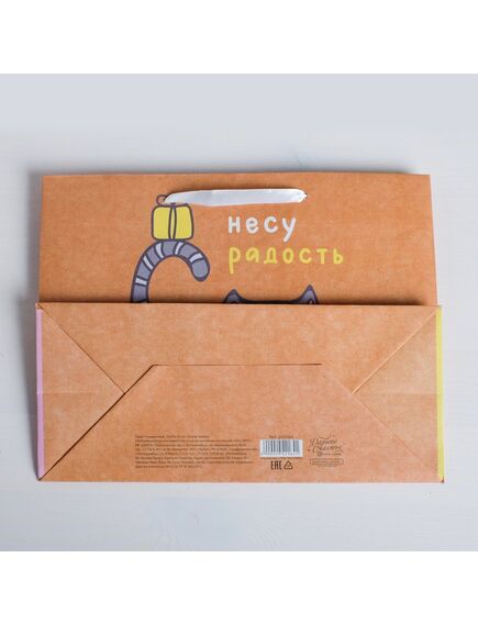 Пакет крафтовый горизонтальный «Несу радость», MS 18 × 23 × 10 см , изображение 3