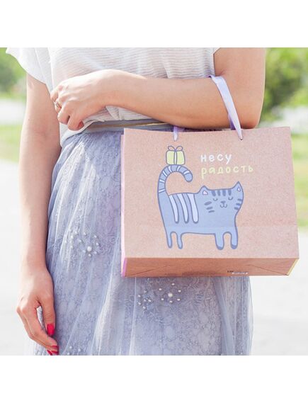 Пакет крафтовый горизонтальный «Несу радость», MS 18 × 23 × 10 см , изображение 4