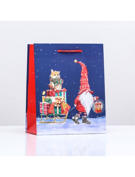 Пакет подарочный "С подарочками", 18 х 22,3 х 10 см 