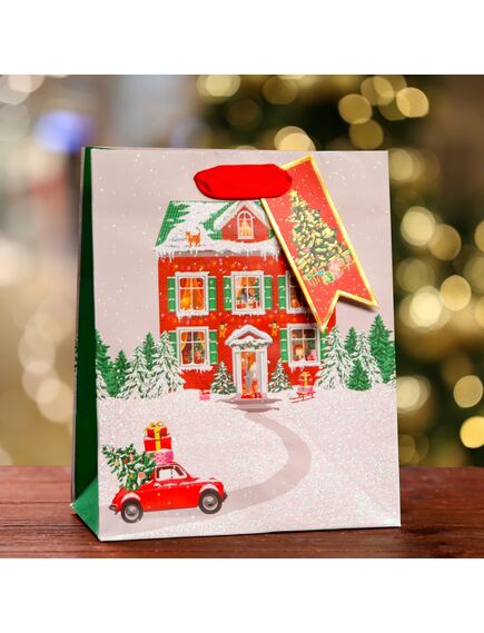 Пакет подарочный "На праздник ", люкс 18 х 22,3 х 10 см 