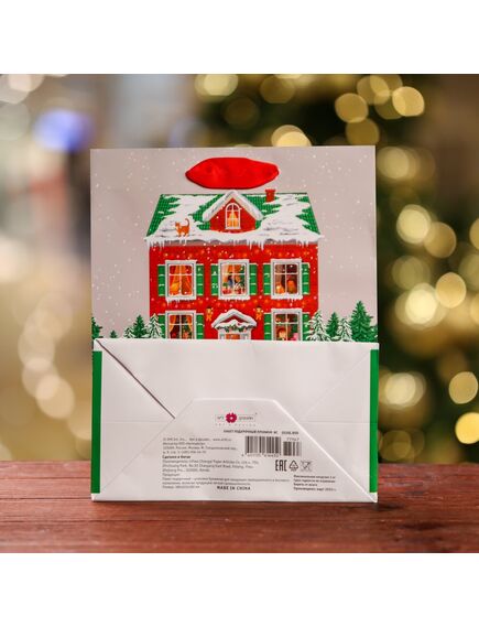 Пакет подарочный "На праздник ", люкс 18 х 22,3 х 10 см , изображение 2