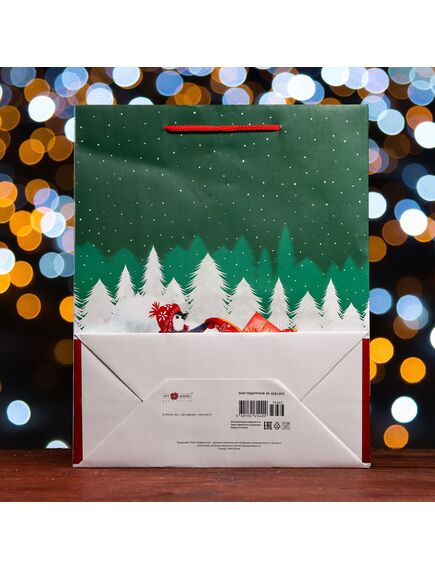 Пакет подарочный "Нарядная зима ", 26 х 32 х 12 см , изображение 4