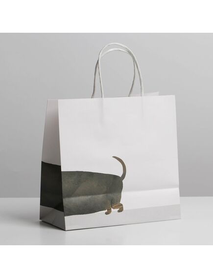 Пакет подарочный «Пирожочек», 22 × 22 × 11 см , изображение 2