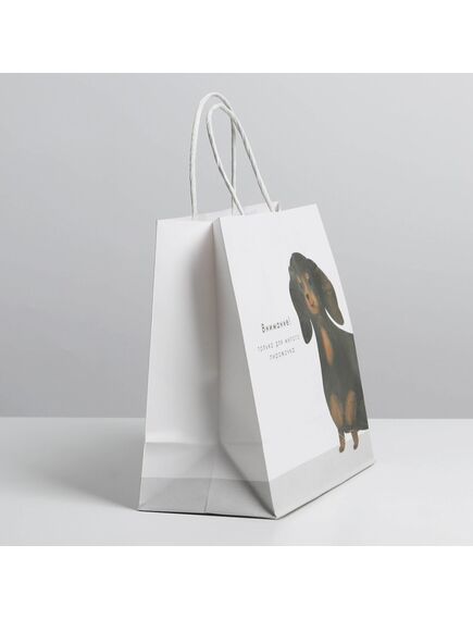 Пакет подарочный «Пирожочек», 22 × 22 × 11 см , изображение 3