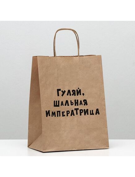 Пакет подарочный с приколами, крафт, «Гуляй шальная императрица», 24 х 14 х 30 см 