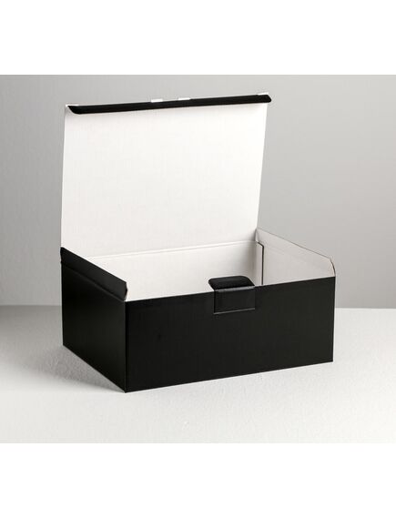 Коробка‒пенал «Хэппи пёздей», 26 × 19 × 10 см , изображение 2