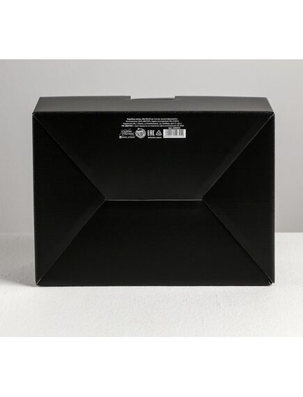 Коробка‒пенал «Хэппи пёздей», 26 × 19 × 10 см , изображение 3