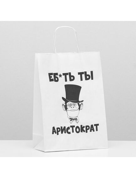 Пакет подарочный с приколами «Аристократ», 24 х 10 х 33 см 