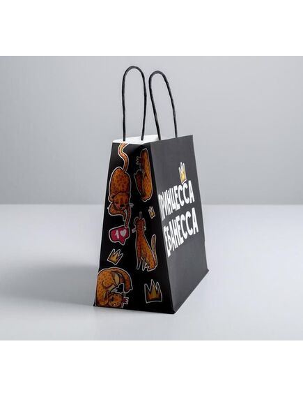 Пакет подарочный «Принцесса», 22 х 22 х 11 см , изображение 3