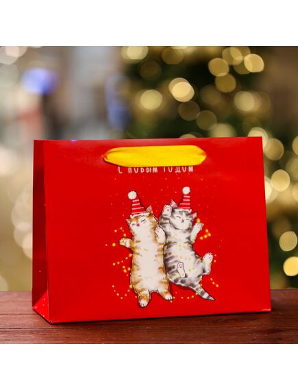 Пакет подарочный "Настроение праздник ", 23 х 17,8 х 9,8 см 