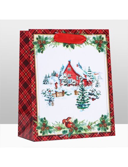 Пакет подарочный "Сказочный дом ", 18 х 22,3 х 10 см 