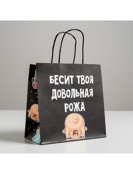 Пакет подарочный «Бесит», 22 х 22 х 11 см 