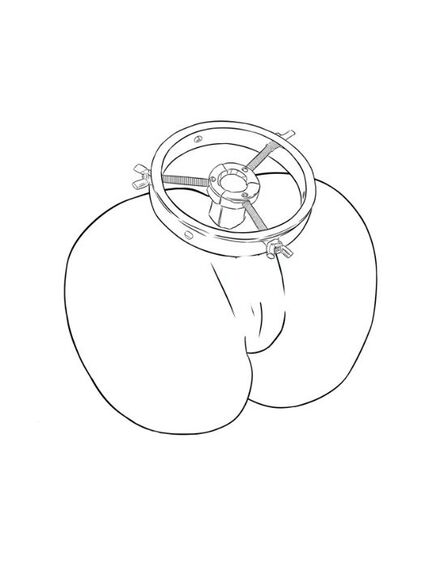 Анальный расширитель из металла , изображение 7