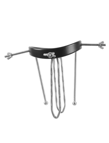 Анальный расширитель , изображение 2