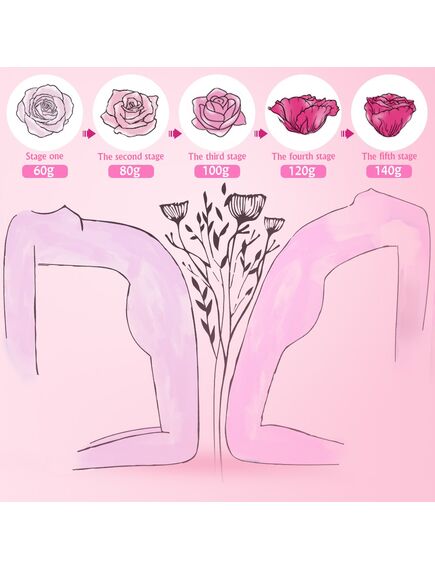 Тренажер Кегеля набор TINA , изображение 13