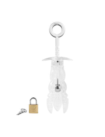 Анально - Вагинальный расширитель , изображение 3