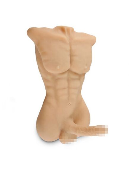 Секс-кукла мужской торс с членом Daniel , изображение 2