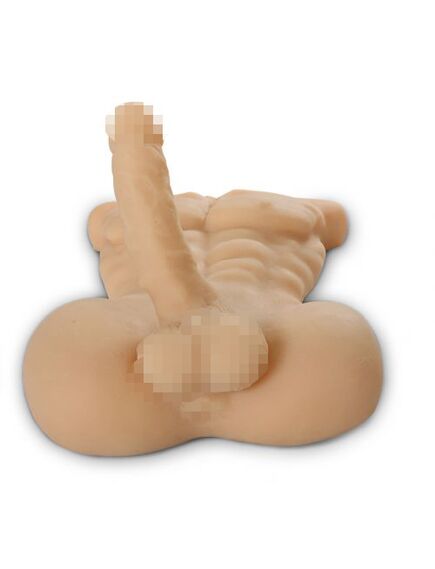 Секс-кукла мужской торс с членом Daniel , изображение 6