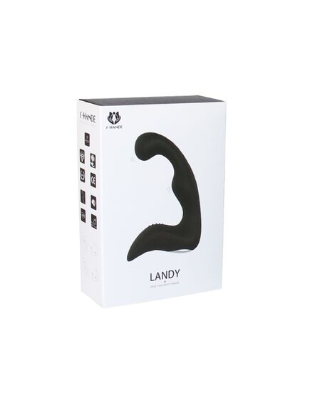 Массажер простаты Landy RCT , изображение 4