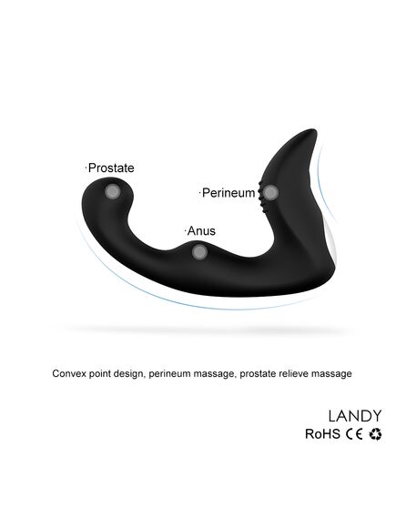 Массажер простаты Landy RCT , изображение 5