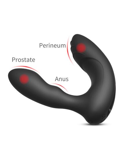 Массажер простаты с вибрацией, двумя моторами и пультом д\у 18023 Levett "Edgar" , изображение 4