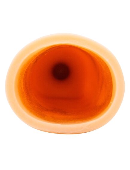 Насадка реалистичная , изображение 3