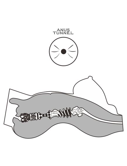 Мастурбатор мини-торс "StreetGirl`s #8" , изображение 6