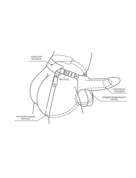 Фаллоимитатор поясной пустотелый с бандажом , изображение 2
