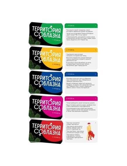 Игра для двоих «Территория соблазна. Новогодние страсти», 50 карт, 1 пластиковый кубик , изображение 2